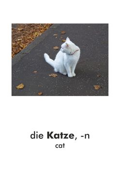 German word card: die Katze (cat)