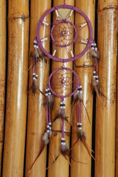 Red black and purple Dreamcatcher with bat made of feathers leather beads and ropes, hanging on the wodden background.