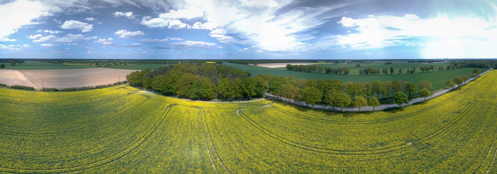 Abstract panorama from several aerial photos of a blooming rape field in front of a forest, fields and meadows and a street with an avenue of trees, germany