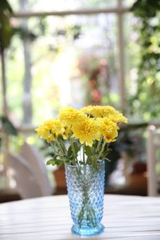 yellow flower in jar