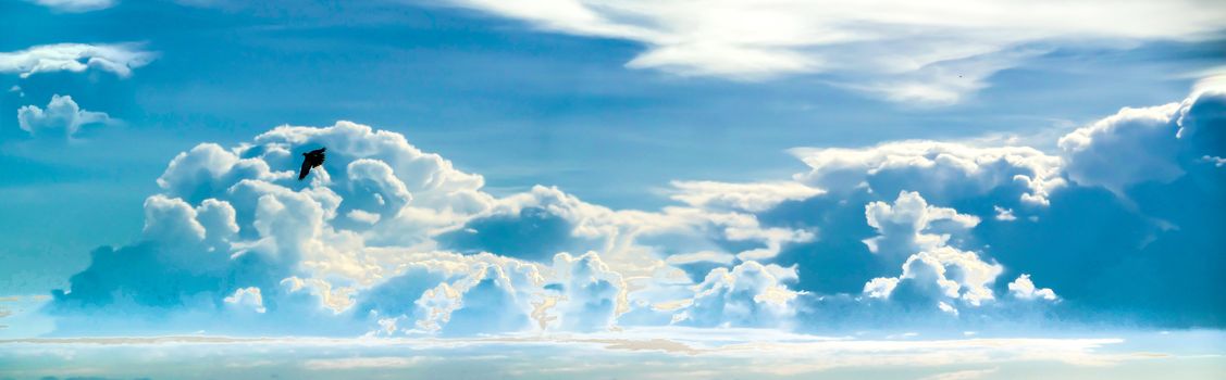 heap cloud blue sky panorama view and flying bird in summer