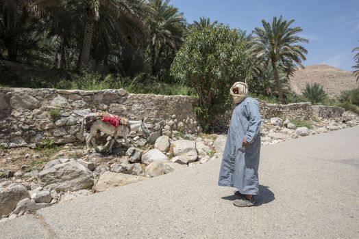 Man with his donkey at the entrance of Wadi Bani Khalid waiting for tourists to take a ride, Oman
