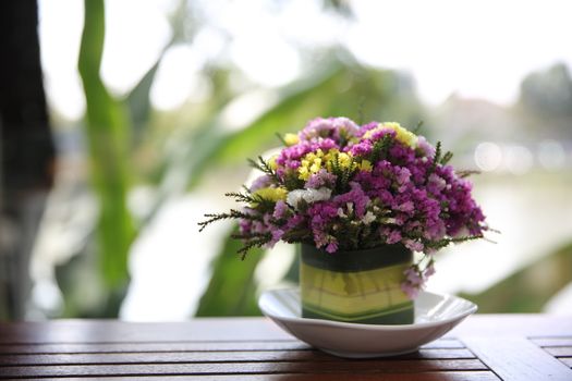 flower in jar