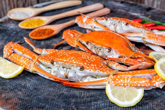 jumbo crab and spices herb on dark background