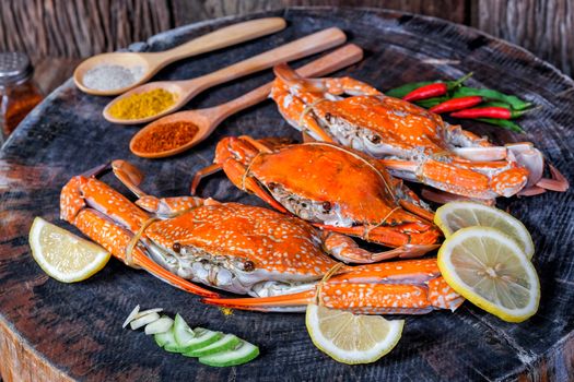 jumbo crab and spices herb on dark background 