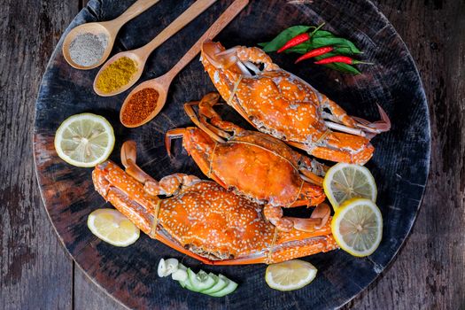 jumbo crab and spices herb on dark background