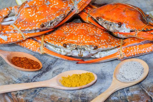 jumbo crab and spices herb on dark background

