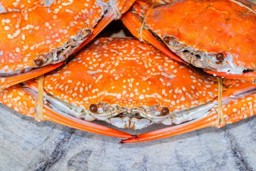 jumbo crab and spices herb on dark background