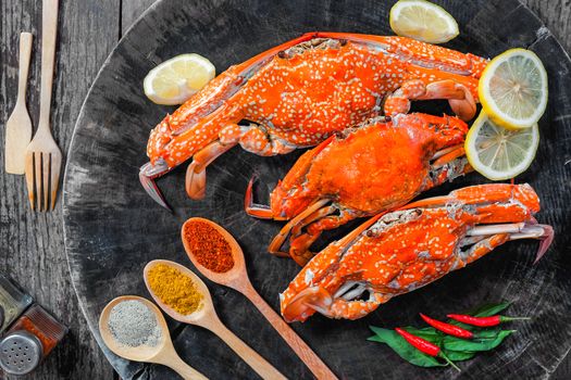 jumbo crab and spices herb on dark background