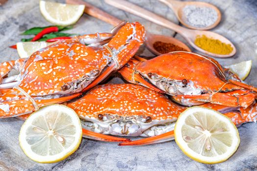 jumbo crab and spices herb on dark background

