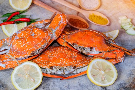 jumbo crab and spices herb on dark background