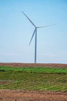 Wind turbine power at daylight 