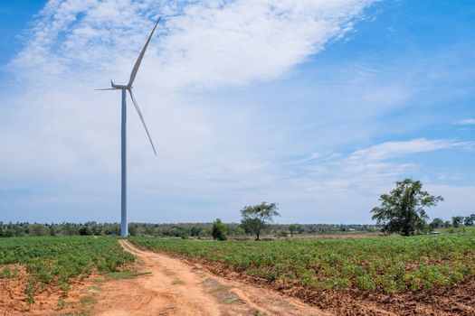 Wind turbine power at daylight 