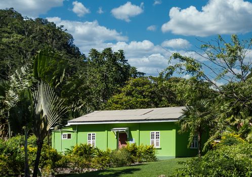 Green Bungalow in Tropics among palms