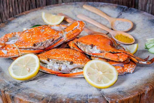 jumbo crab and spices herb on dark background