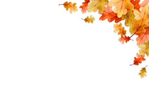 frame of leaves in autumn concept  isolated on white background. Flat lay, top view, copy space.