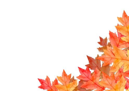 frame of red leaves in autumn concept  isolated on white background. Flat lay, top view, copy space.