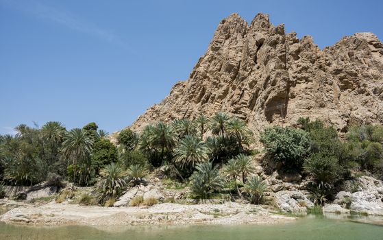 River (with turquoise water) coming from the canyon of Wadi Bani Khalid and going to the main village, Oman