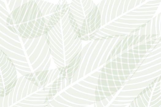 Vector composition of green alpha transparent stylized leaves on a white background