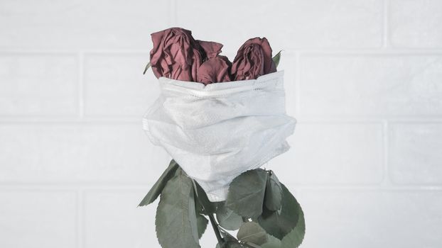 Three wilted roses in a medical mask as a symbol of the covid pandemic.Flowers are quarantined in a protective mask against viruses,colds and flu.Preventing the development of an outbreak of infection