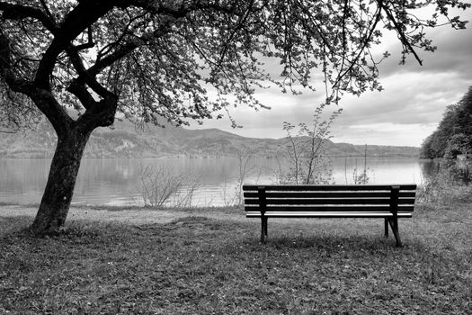 Wooden bench for relaxing on shore. View on Alps mountains with white peaks mirror in lake level.