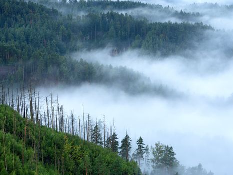 Magnificent heavy mist in landscape. Autumn creamy fog in countryside. Hill increased from fog, the fog is colored to gold and blue