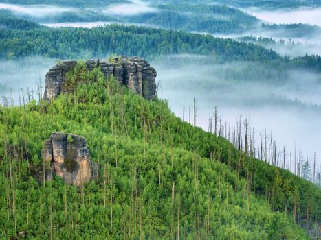 Magnificent heavy mist in landscape. Autumn creamy fog in countryside. Hill increased from fog, the fog is colored to gold and blue