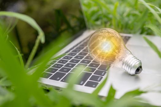 save power and good energy for nature concept ,light bulb on laptop in park
