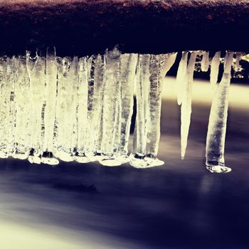 Icicles hang on twigs and icy bark above chilli rapid stream. Winter mountain stream, long thin icicles are hanging on fallen trunk.