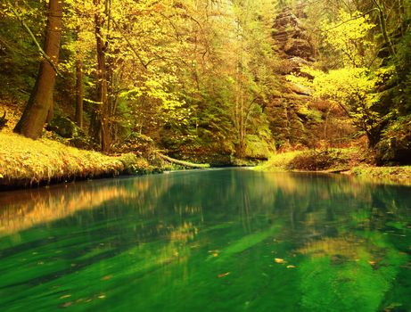 Autumn nature. Mountain river with low level of water, colorful leaves in forest . Mossy and boulders on river bank, green fern,