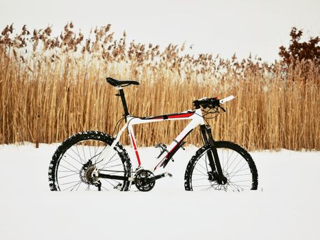 The  mountain bike stay in snow. Lost path in deep snowdrift. Snow melting on dark off road tyre.  Winter weather in the field.