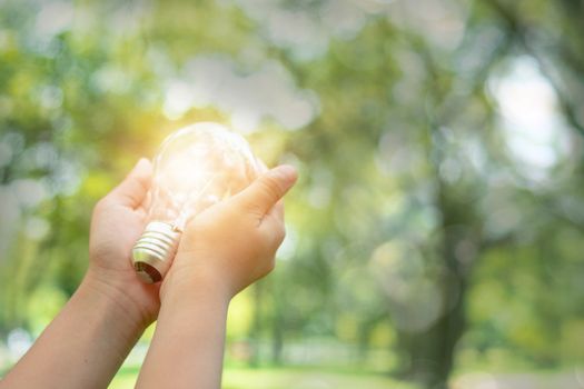 save power and good energy for nature, hand holding light bulb in park
