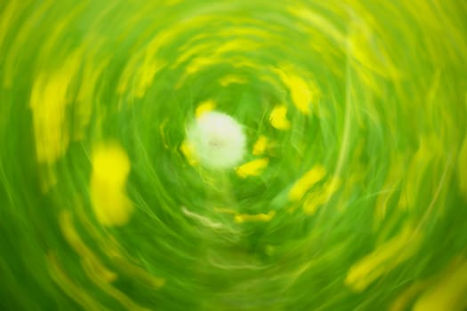 Defocused flowers and grass in circle background. Blurred and de focused yellow blossom and green grass stalks. Hypnotic blurry effect.