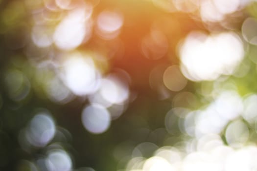 green bokeh of light and leaf background