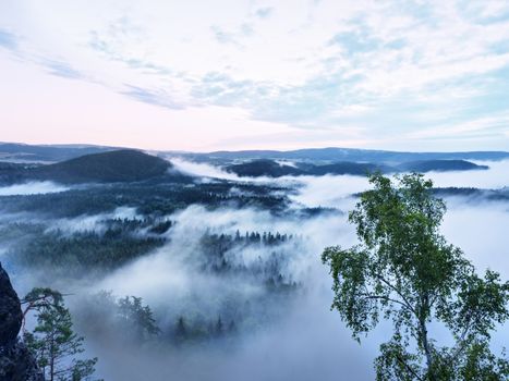 Marvelous daybreak. Misty awakening in a beautiful hills. Peaks of hills are sticking out from foggy background, the fog is red and orange due to Sun rays. 