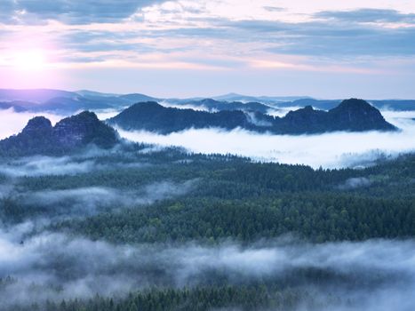 Fairy daybreak in a beautiful hills. Peaks of hills are sticking out from foggy background, the fog is yellow and orange due to sun rays. The fog is swinging between trees.