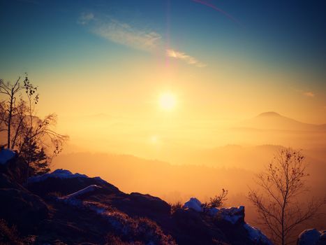 Marvelous daybreak above valley full of colorful mist. Peaks of high trees are sticking up to sky. Romantic autumn.