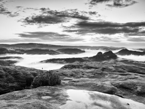 Black and white photo. Misty daybreak in a beautiful hills. Peaks of hills are sticking out from foggy background.