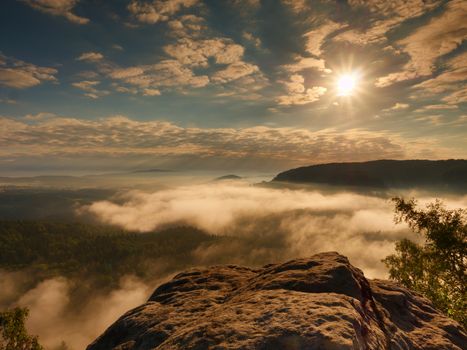 Blue misty daybreak. Sandstone cliff above deep foggy valley in Saxony Switzerland mountains. Hilly peaks sticking out from creamy fog.