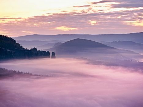 Pink misty mountains. Sharp rocks cut creamy fog to strips. Long deep valley full of fresh spring mist. Dreamy landscape within daybreak after rainy night