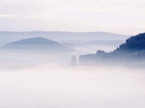 Pink misty mountains. Rock empires  cut creamy fog to strips. Long deep valley full of fresh spring mist. Dreamy landscape within daybreak after rainy night