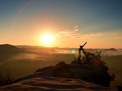 Break on sandstone rocky peak. Broken wild pine bonsai tree. Fall valley full of mist and high humidity. Hill peaks  increased from colorful background.