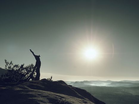 Broken wilde pine bonsai tree on rocky cliff. Sun at horizon, autumn mist in landscape bellow. Magnificent nature. Vivid photo style