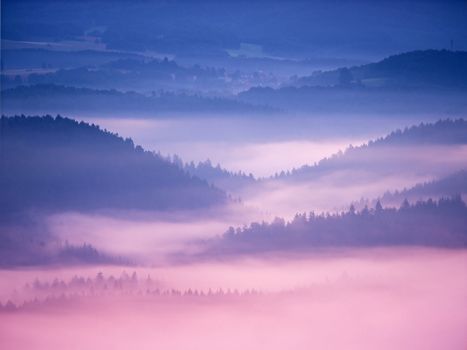 Pink daybreak in hilly landscape. Autumn misty morning in a beautiful rocky  hills. Peaks of hills are sticking out from fog. Miracle of nature