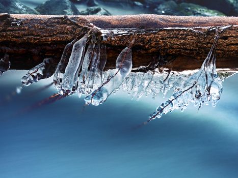 Icicles hang on twigs and icy bark above chilli rapid stream. Winter mountain stream, long thin icicles are hanging on fallen trunk.