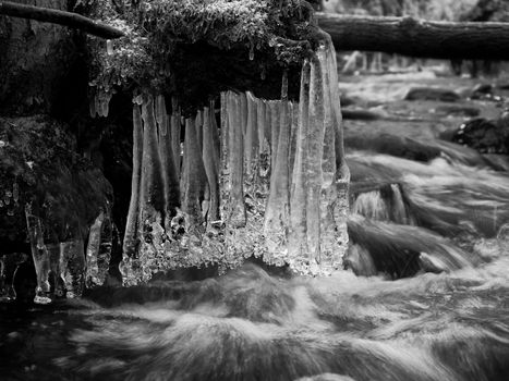 Icy branches above  winter creek. Bright reflections in icicles, blur white foam on water level. Icy art