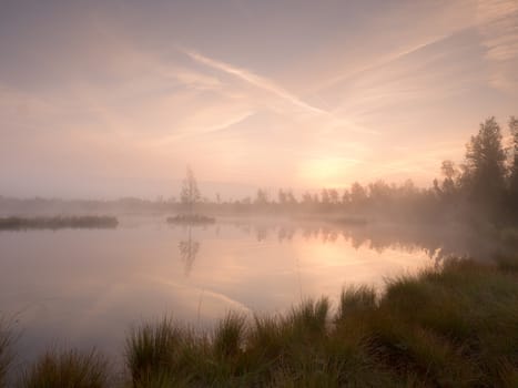 Grass on mountain lake bank,  island in middle. Purple morning with peaceful water level in mysterious forest. Fresh green color of herbs and grass, heavy clouds in sky.