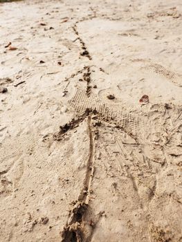 Children drawing of arrow in sand on beach of bay. Funny game with following of drawing direction. 