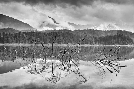 Branch of fallen tree sticking out from blue water of mountain lake,  mountains in background. Evening after rainy day. Vignetting effect. Poor lighting conditions.