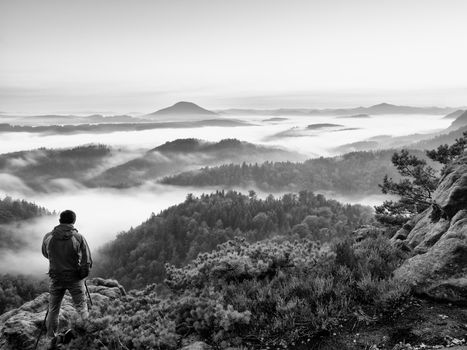 Tourist with red outdoor windcheater stand between dwarf pines on view point.  Autumn hilly landscape in fog. 